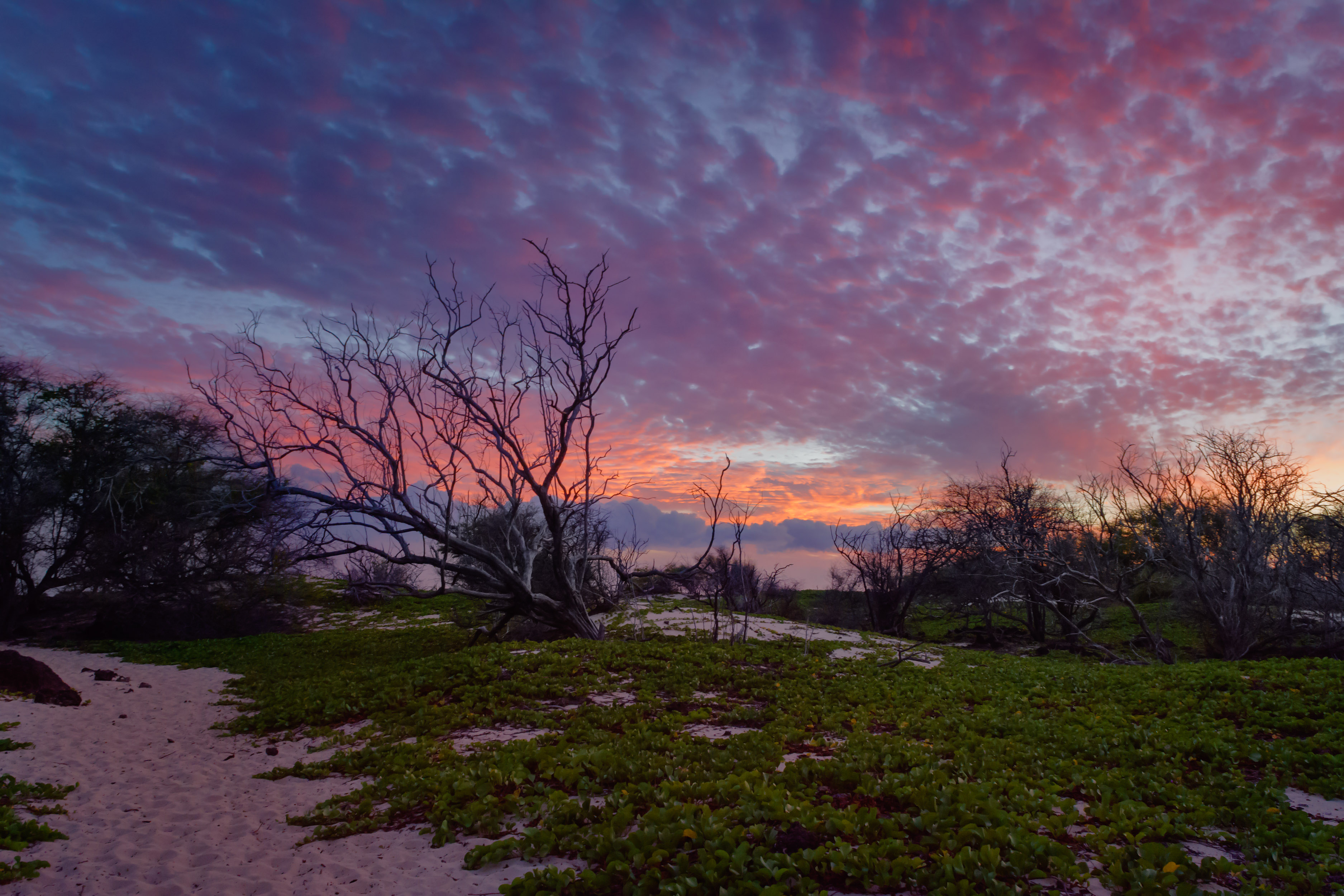 Hawaii Makalawena Beach Sunset Roger W Dormann Fine Art Photographer