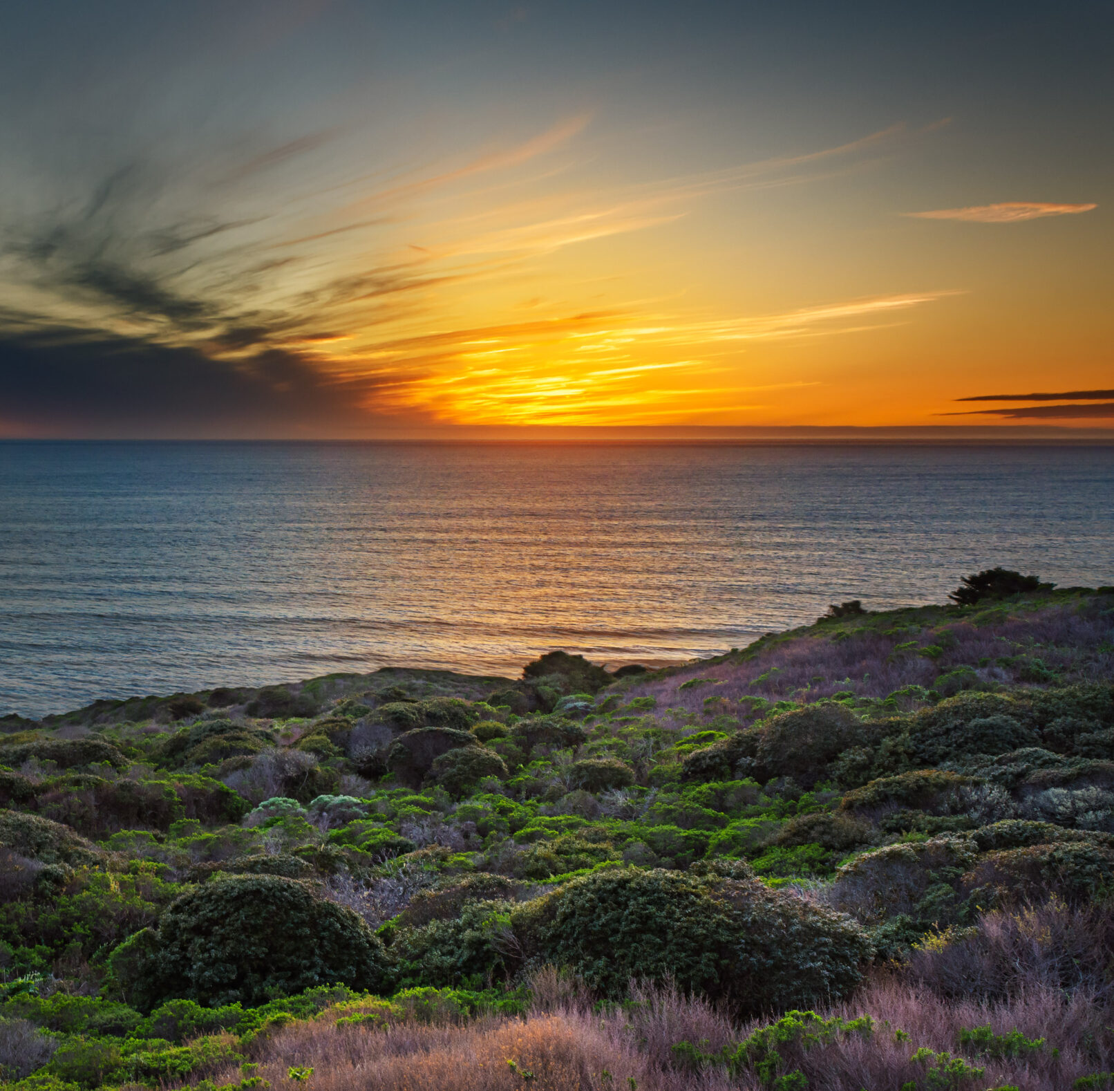 California ocean sunset