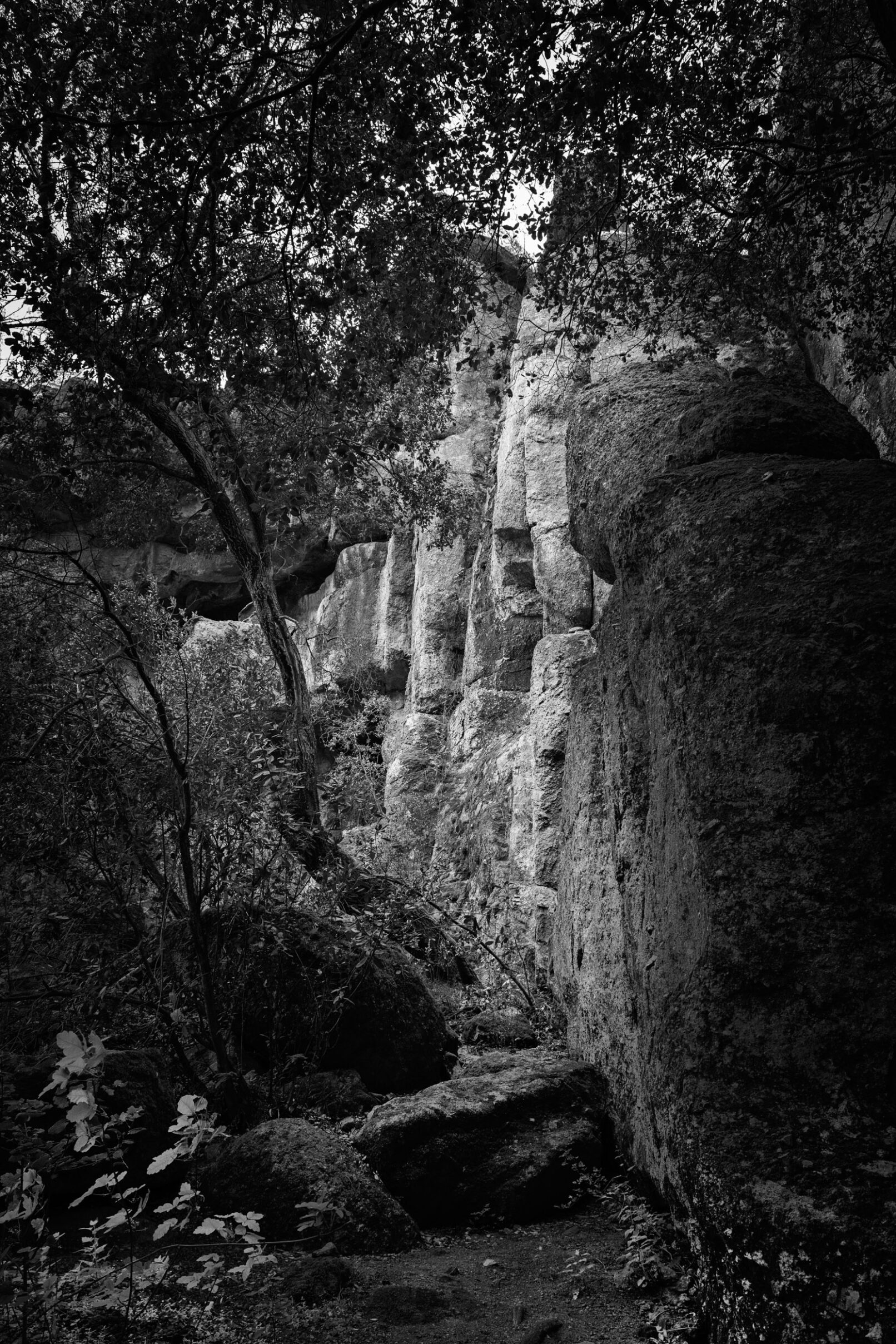 Rock at Pinnacles National Park, California