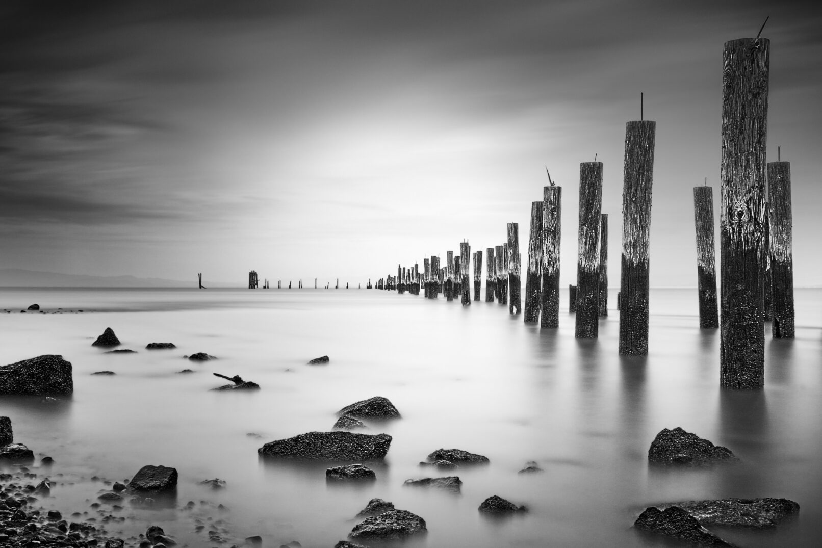 Point Pinole Sticks in Water