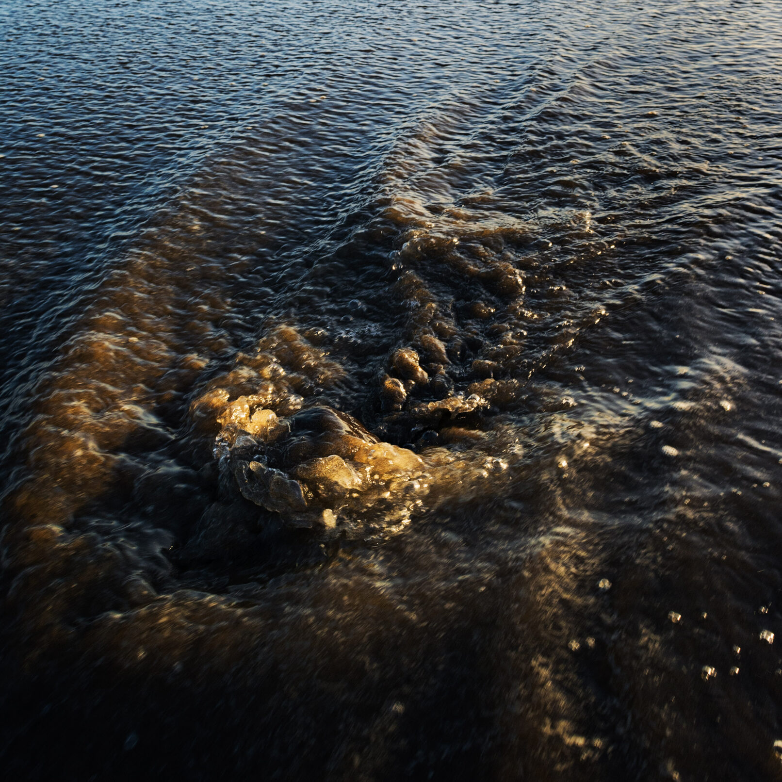 Stone Under Receding Water