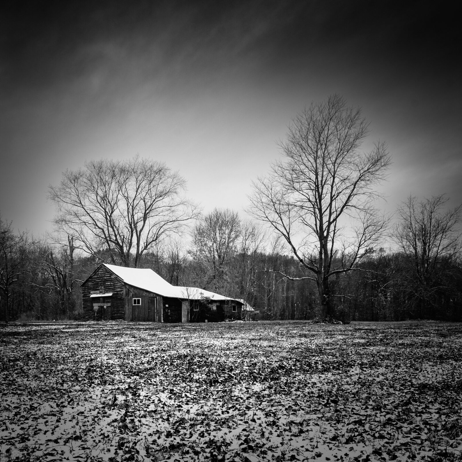 Winter shack