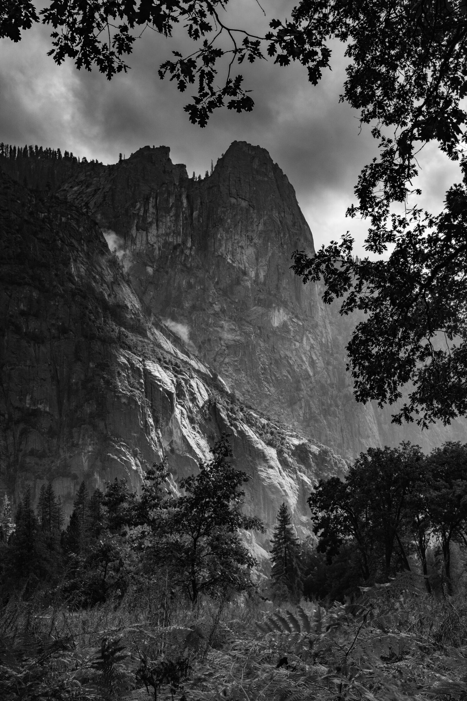 Yosemite Valley