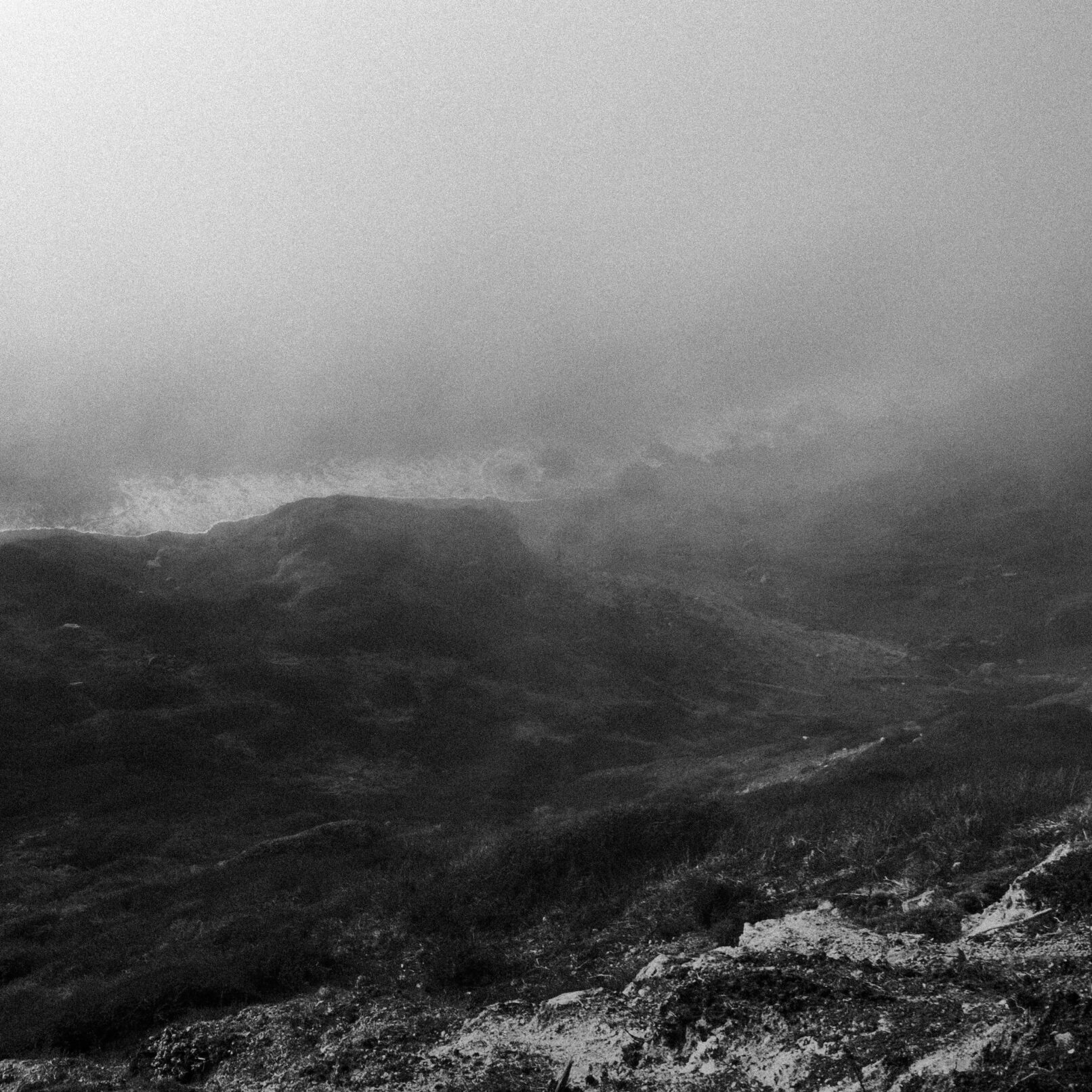 California coast and rocks in fog