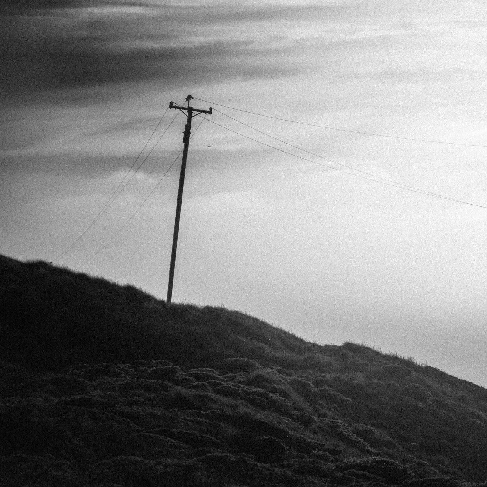 Telephone pole on hill